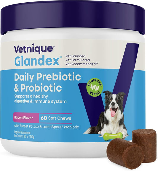 Vetnique Glandex Dog Probiotic Chews - Daily Probiotics with 5 Strains, Prebiotics and Digestive Enzymes for Gut and Immune Health - 60 Count