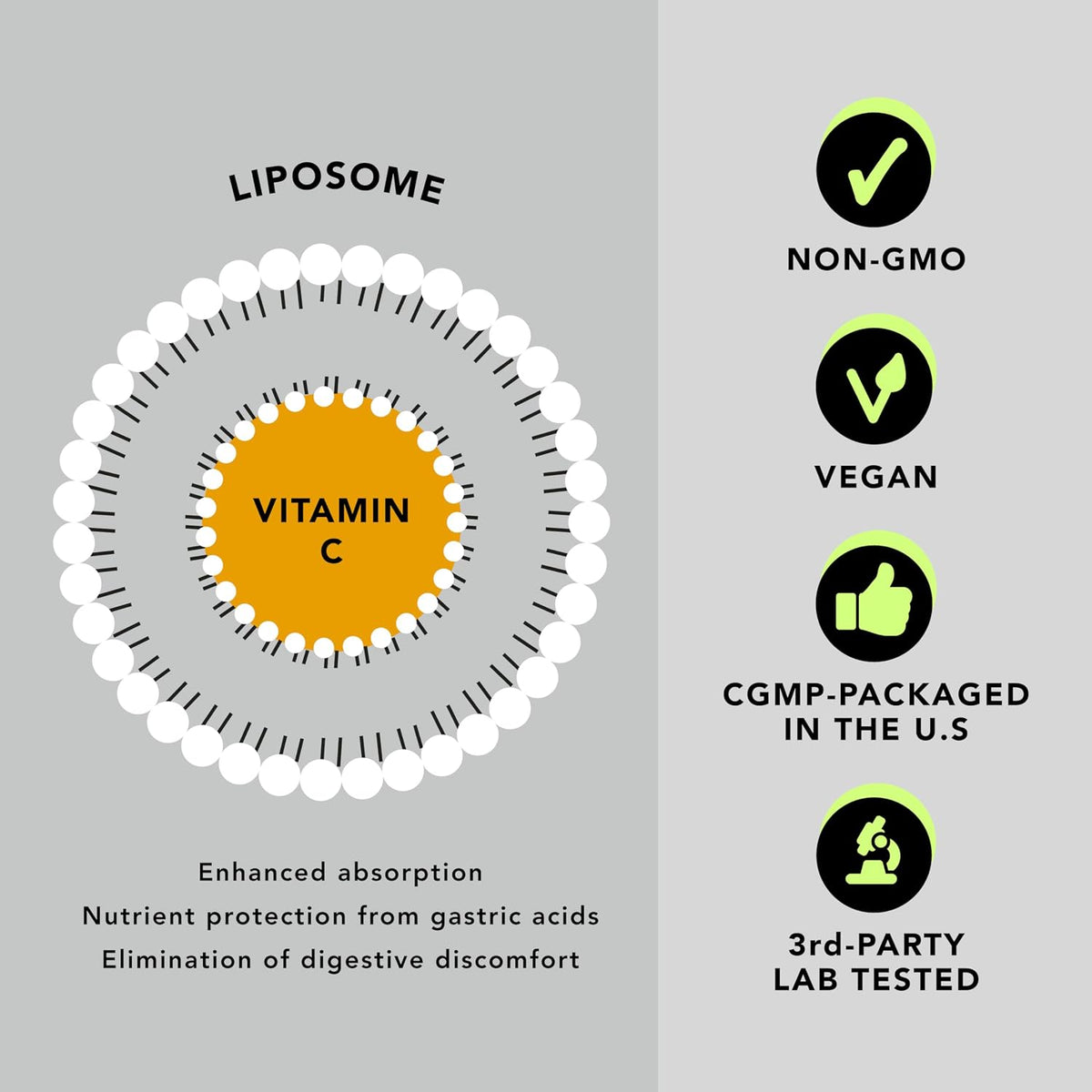 AMANDEAN Liposomal Vitamin C 1000mg Liquid Supplement - görsel 7