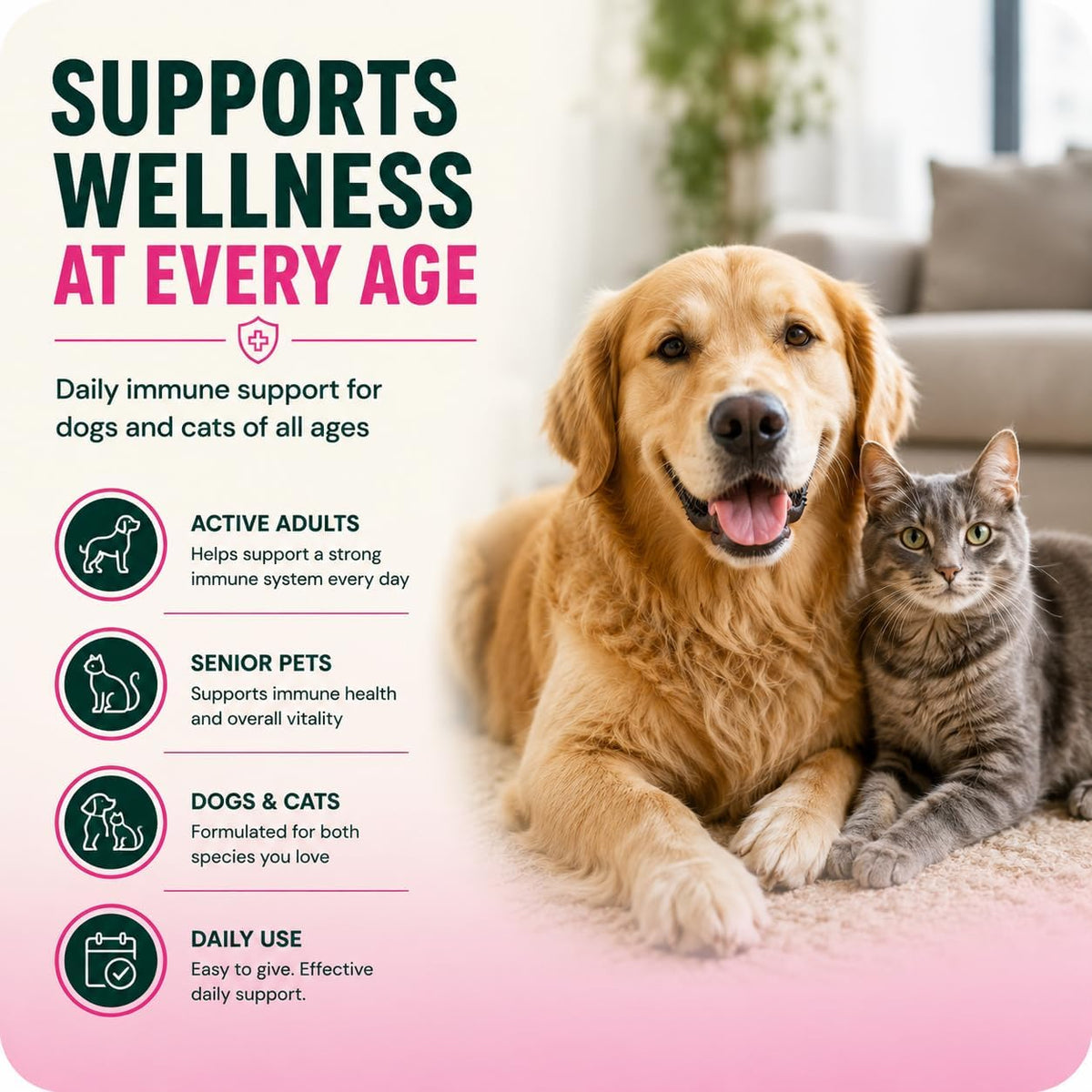 VetriScience DMG Immunity Health - Dogs & Cats Liquid - görsel 3