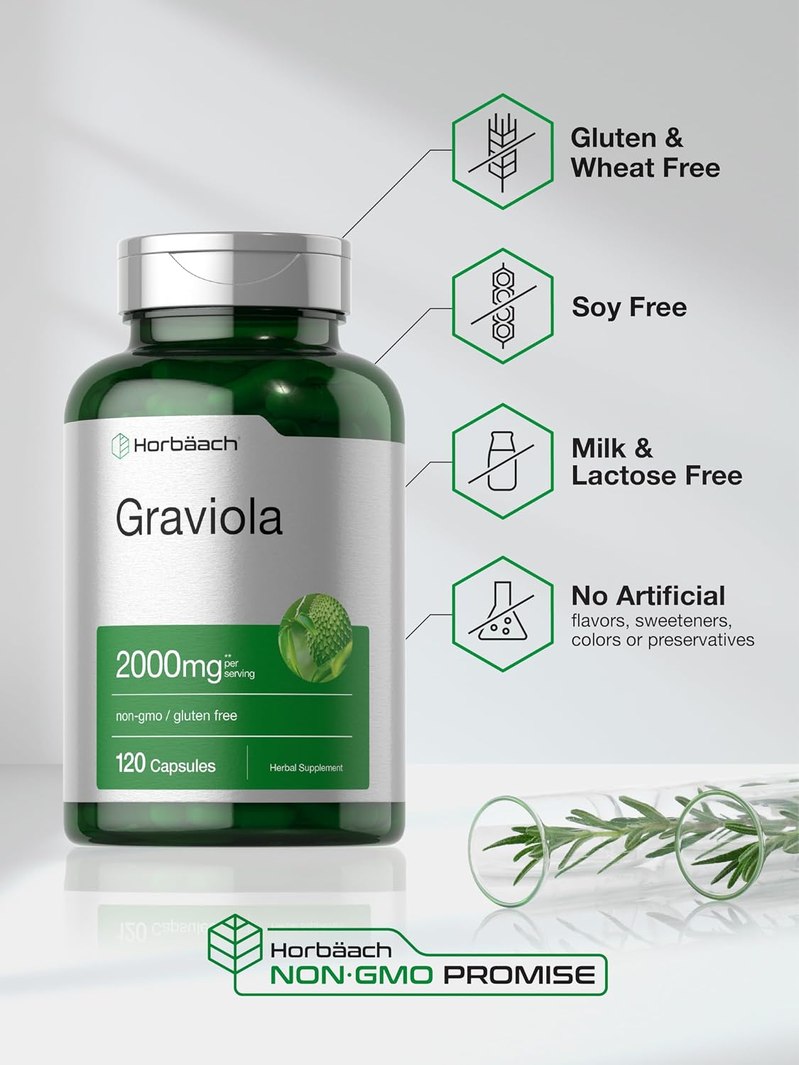Horbäach Graviola Capsules | 120 Count | Soursop (Annona Muricata) | Non-GM & Gluten-Free Food Supplement - görsel 5