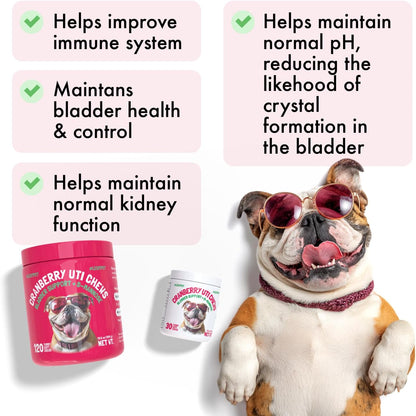 LEGITPET Cranberry UTI Chews for Dogs with D-Mannose – Bladder Support, 120 Soft Chews