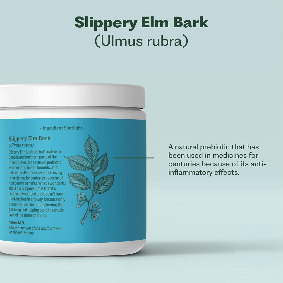 Nature M.D. GutConnect 365 – Chocolate Coconut Gut Health SuperFood Powder, 30 Servings - görsel 6