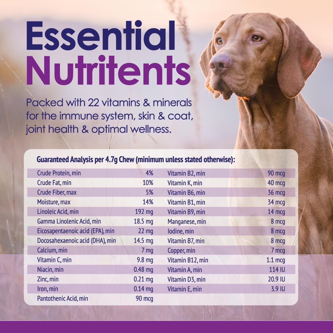 NuLife Natural Pet Health Dog Multivitamin Chewable - 22-in-1 with Green Lipped Mussel & Omega-3 - 60 Beef Chews - görsel 5