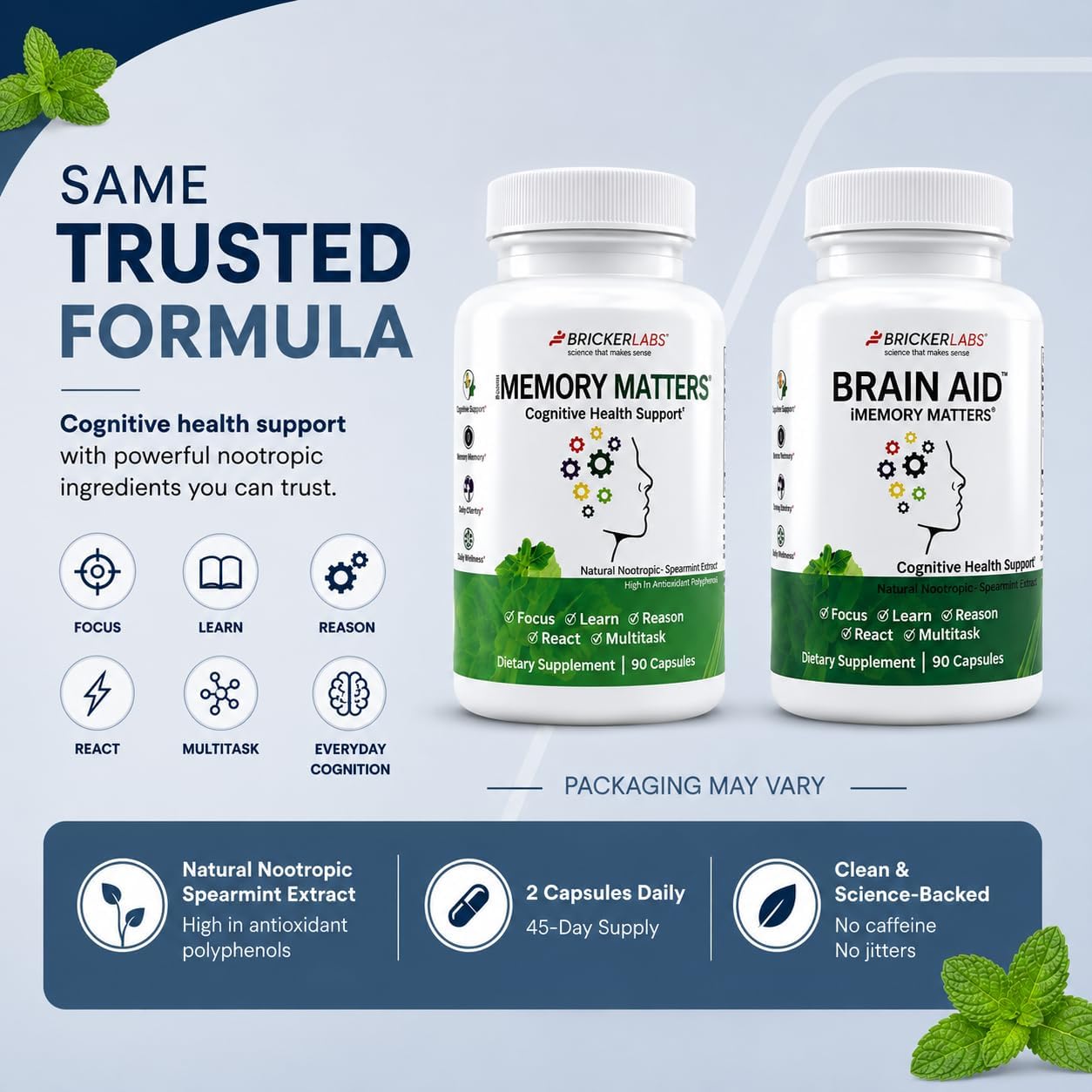 Bricker Labs Brain Aid Memory Matters – Nootropic Brain Supplement with Neumentix Spearmint Extract - görsel 7