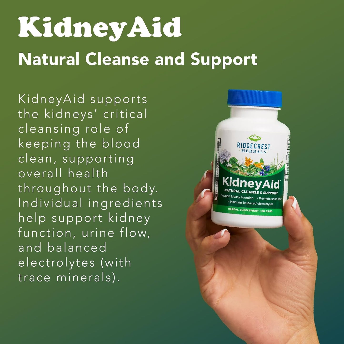 RidgeCrest Herbals KidneyAid, Kidney Health Support Supplement, 60 Capsules - görsel 5