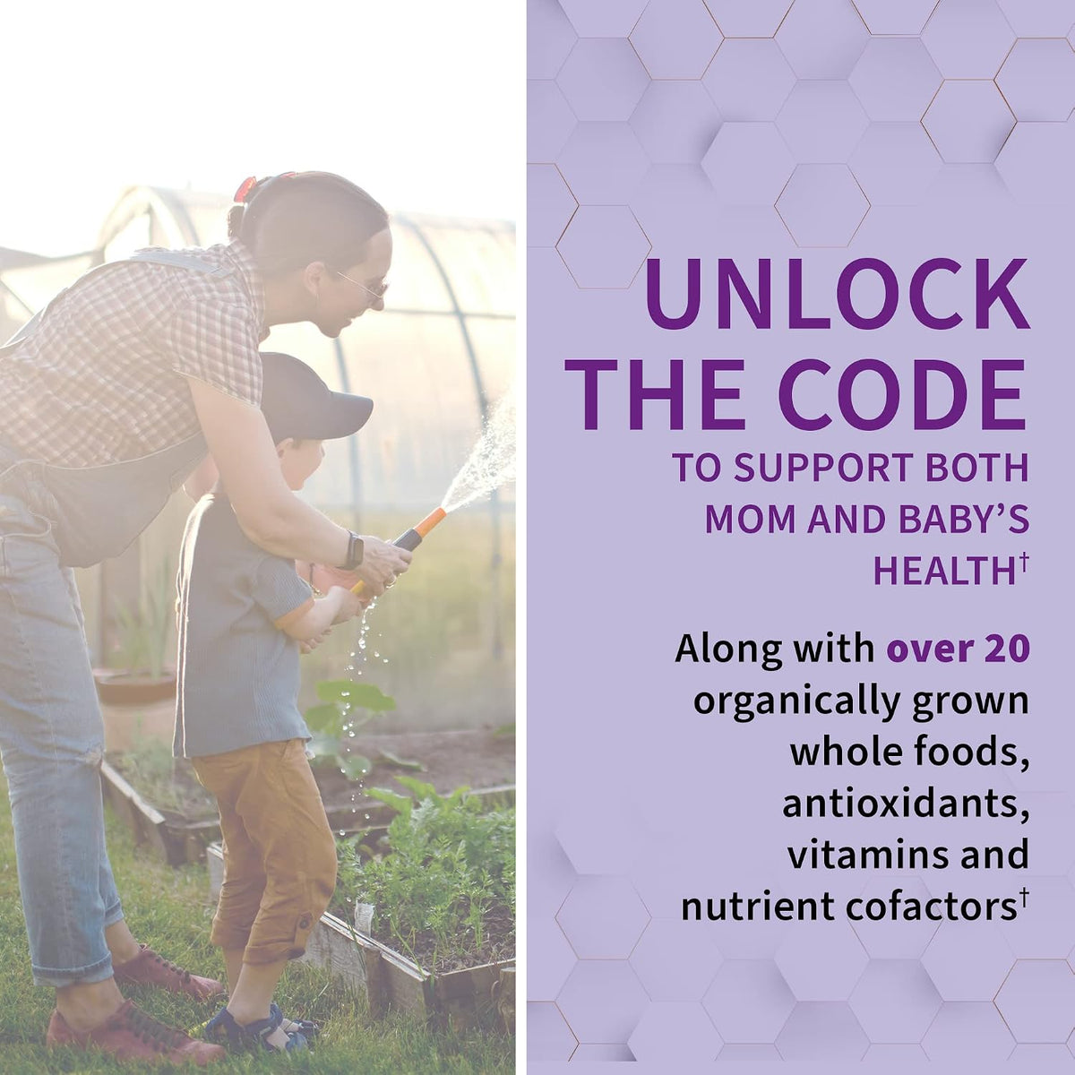 Garden of Life Vitamin Code Raw Prenatal Multivitamin - 30 Day Supply - görsel 2