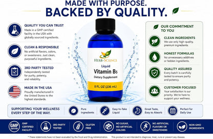 Liquid Vitamin B5 – 192 Servings – High Absorption Pantothenic Acid for Energy, Mood & Nerve Support – Vegan Non-GMO Alcohol Free – 236 ml