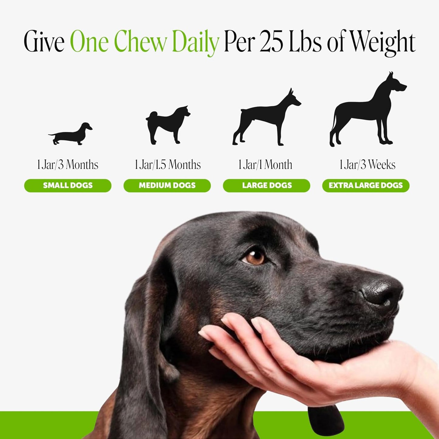 6 Billion CFU Dog Probiotics with Prebiotics, Digestive Enzymes, & Fibre - Relief for Occasional Diarrhoea, Gas, Bloating & Itchy Skin - Daily Gut Health & Immune Support for All Dogs (Duck, 90 Chews) - görsel 7