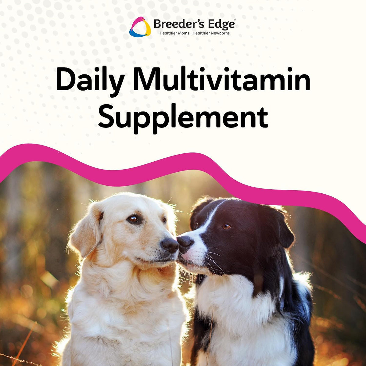 Breeder's Edge in Between for Her Daily Multivitamin for Breeding Dogs and Cats, 360ct - görsel 4