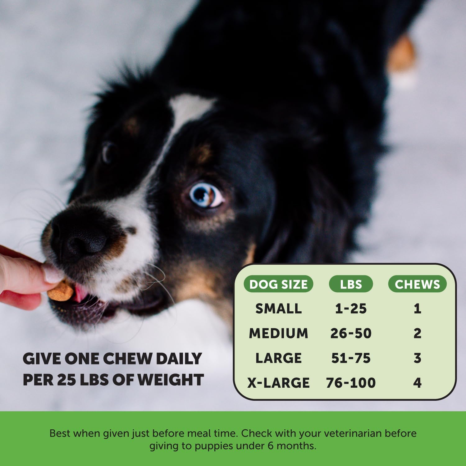 Pet Honesty Cranberry for Dogs Urinary Tract Support - Bacon Flavour, 90 Chews - görsel 5