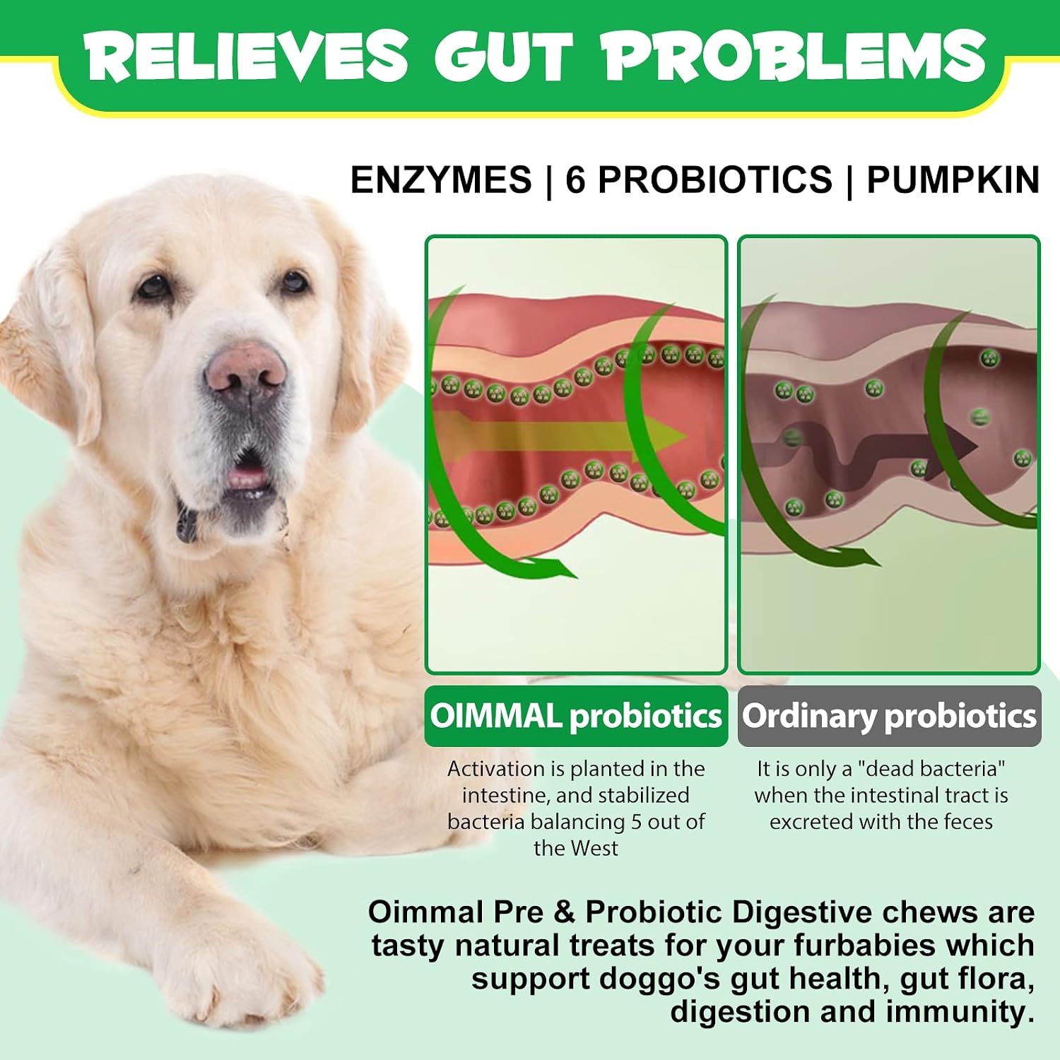 Oimmal Probiotics for Dogs Digestive Health - 120 Soft Chews with Omega-3 & 6, Vitamins, Digestive Enzymes - görsel 4