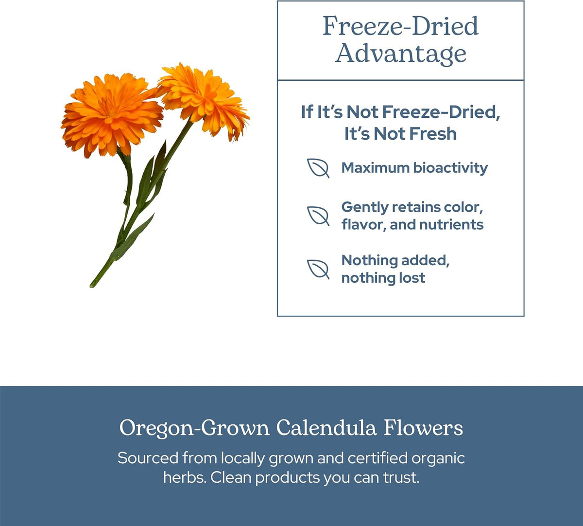 Eclectic Herb Freeze Dried Calendula Capsules - 90 Capsules, 250 mg - görsel 5
