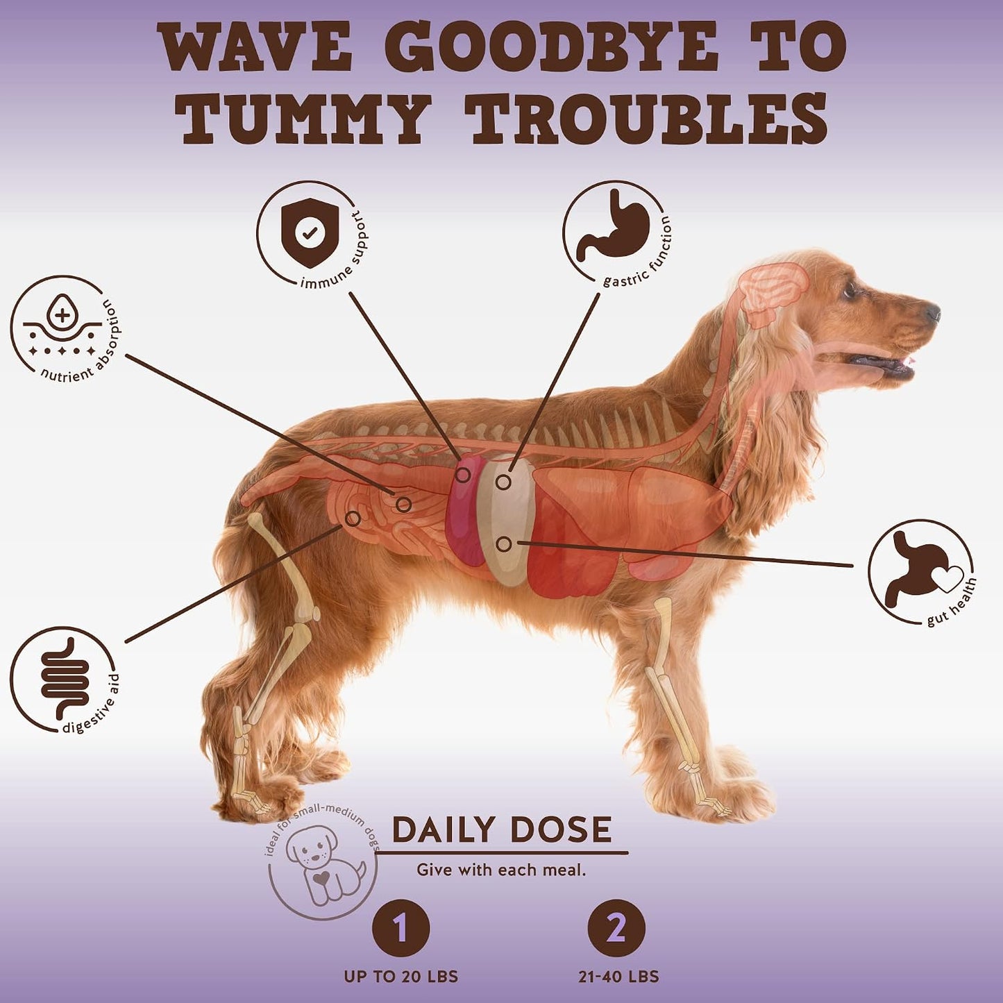 Jack&Pup Pro-Digest Bark Buddies Probiotic Chews for Dogs (60 chews) - görsel 2