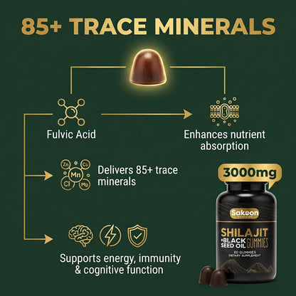 Pure Shilajit Gummies for Men and Women, with Black Seed Oil – High Potency Himalayan Resin – Energy, Immune & Cognitive Support – Lab Tested, Non-GMO, Gluten-Free