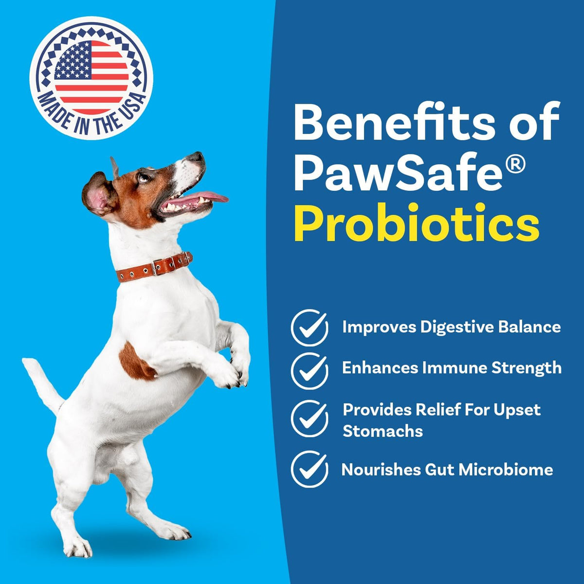 PawSafe® Dog Probiotics Soft Chews for Picky Eaters - Made in USA, 120 Count - Digestive & Gut Health Support - Natural with Pumpkin - Honey Chicken Flavour - görsel 2