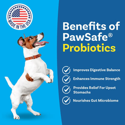 PawSafe® Dog Probiotics Soft Chews for Picky Eaters - Made in USA, 120 Count - Digestive & Gut Health Support - Natural with Pumpkin - Honey Chicken Flavour