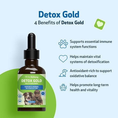 Pet Wellbeing Detox Gold for Dogs – Gentle Cleansing & Immune Support, Veterinary-Formulated Herbal Supplement (60 ml)