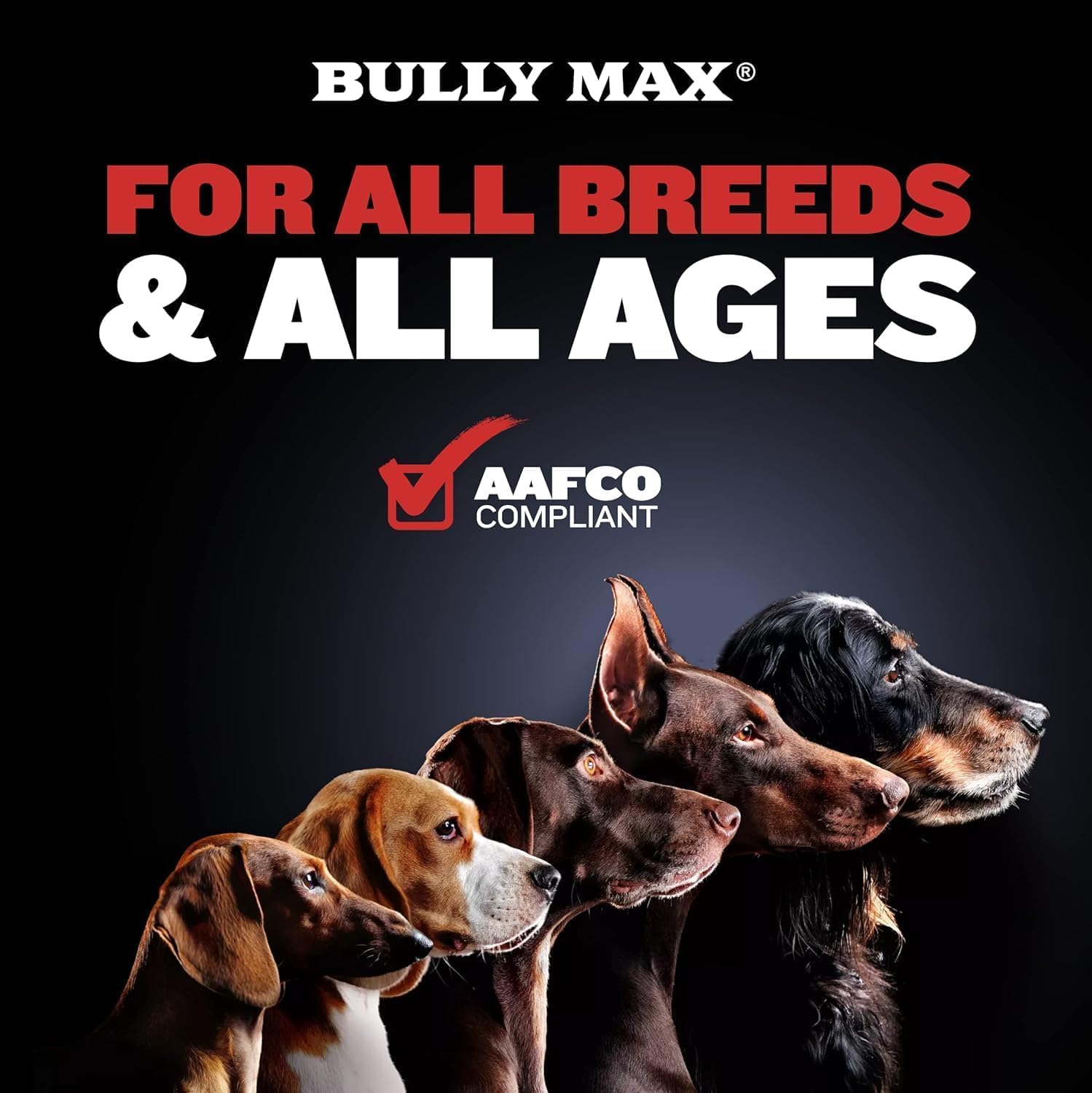 Bully Max 2-in-1 Muscle Builder Chewable Tablets for Dogs - 60 Tablets (2 Bottles) - görsel 4
