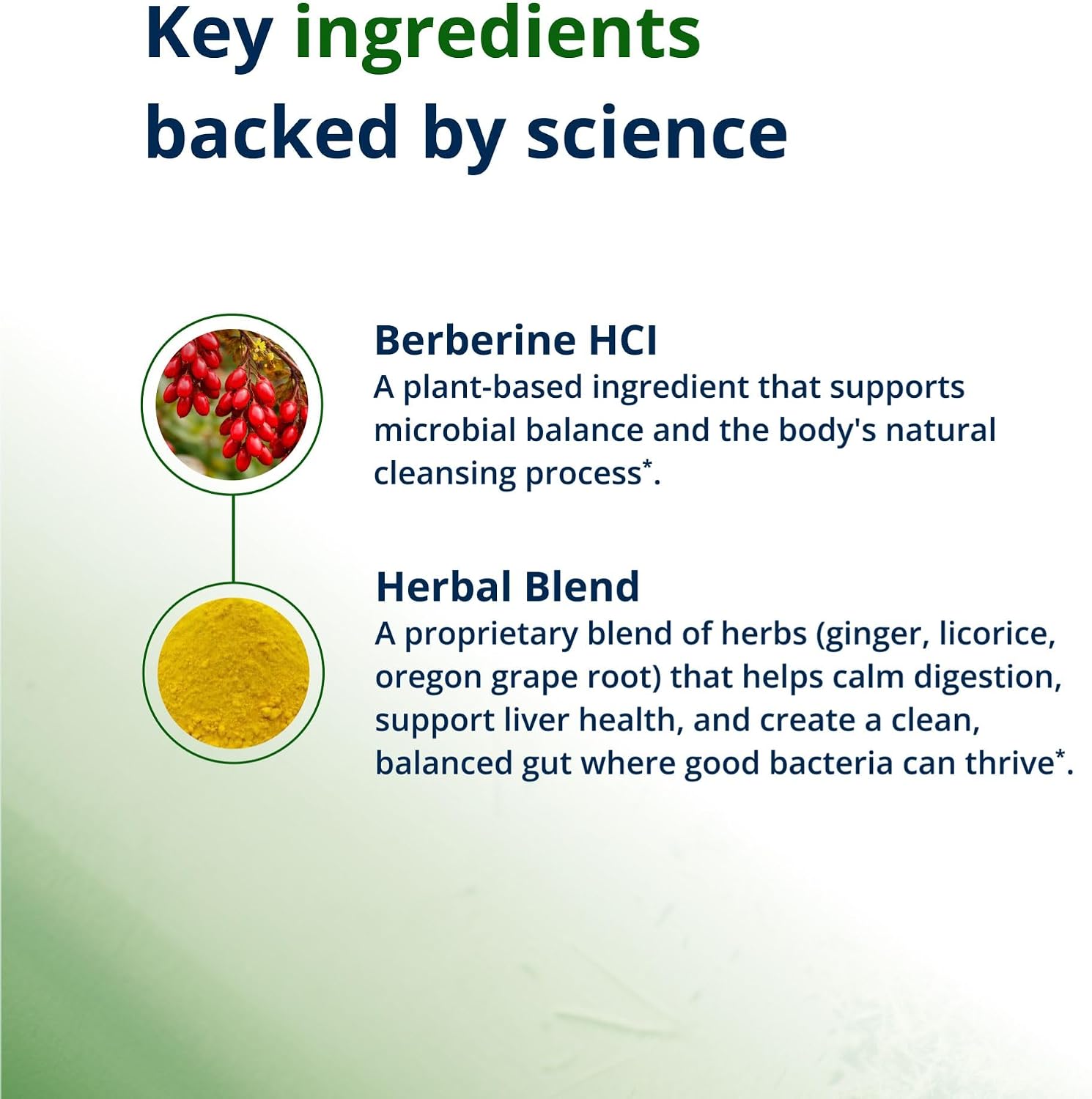 Metagenics CandiBactin-BR – Concentrated Berberine for Intestinal Support – 90 Tablets - görsel 4