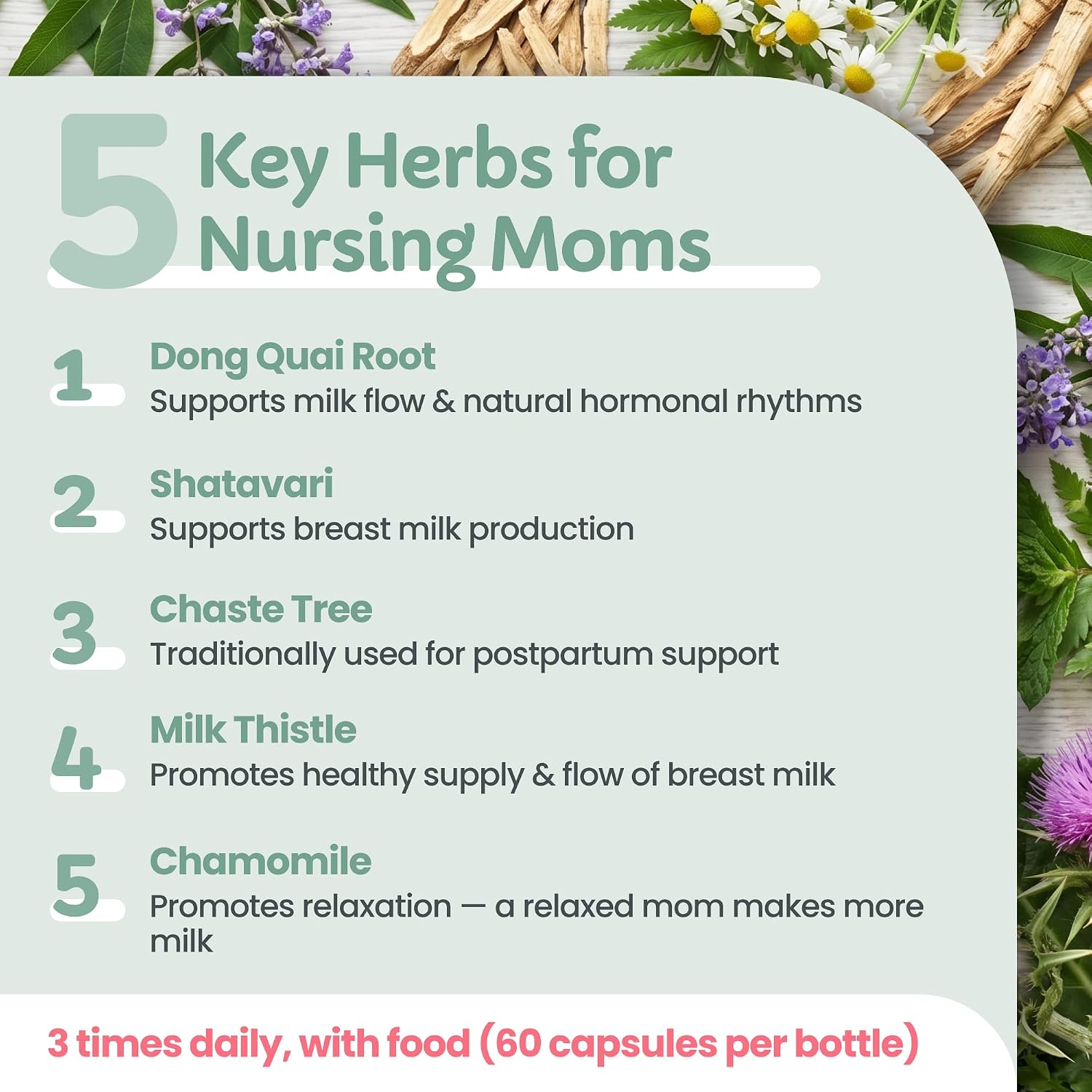 White Gold Lactation Supplement – Fenugreek-Free with Dong Quai, Shatavari & Milk Thistle – IBCLC-Formulated – 60 Vegan Capsules - görsel 4
