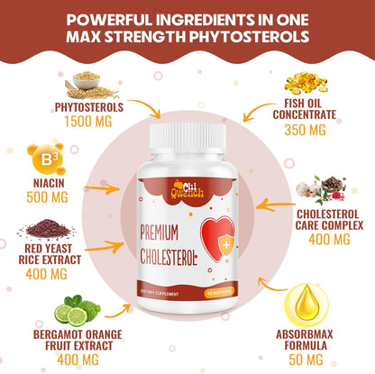 ChiQwench Cholesterol Support Supplement – 14-in-1 with Plant Sterols, Niacin, Red Yeast Rice, Citrus Bergamot & Garlic, 90 Soft gel capsules