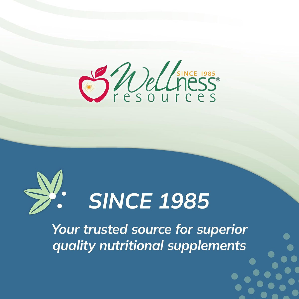 Wellness Resources I3C + DIM: Oestrogen Metabolism & Detoxification Support (60 Capsules) - görsel 5