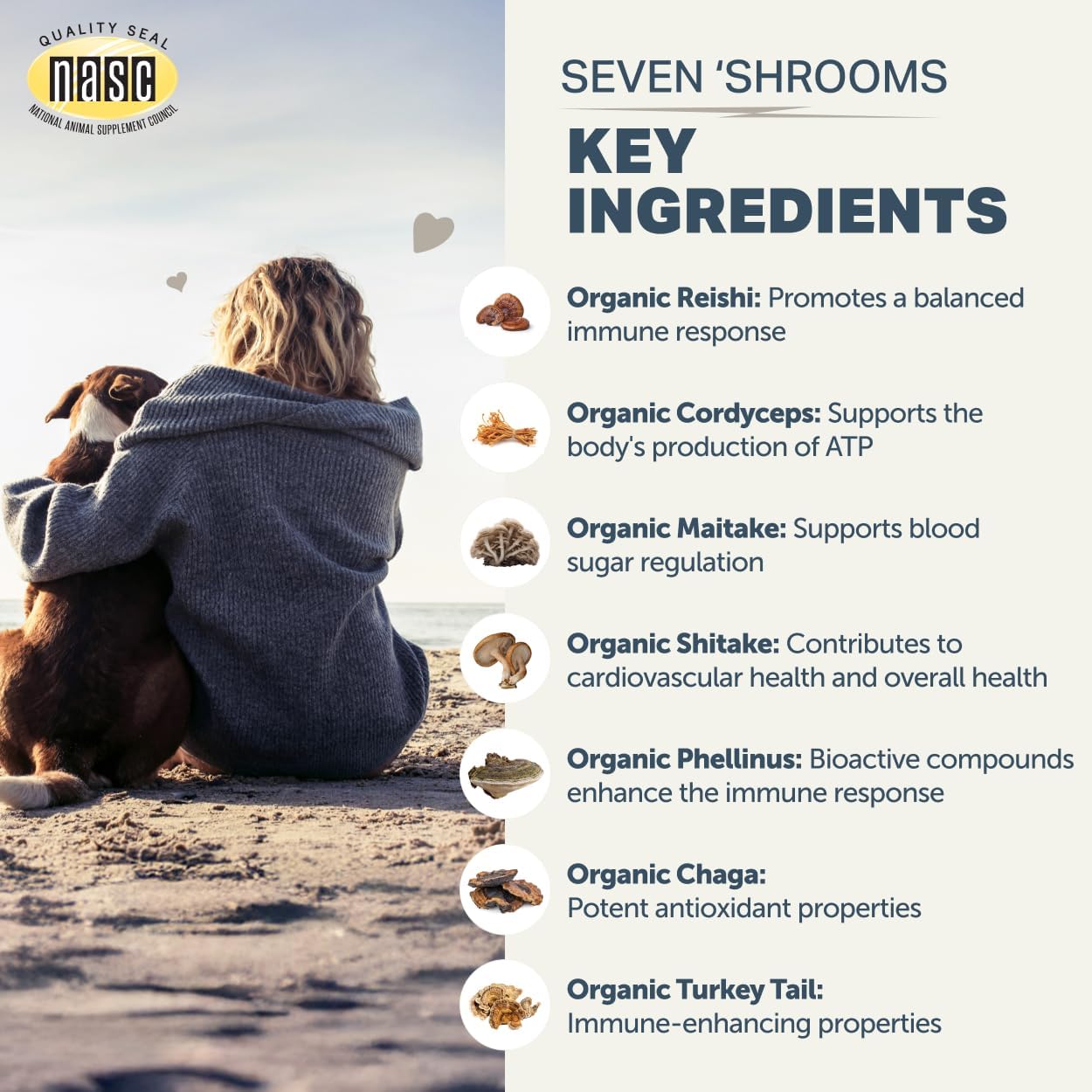 Four Leaf Rover Seven Shrooms Organic Mushroom Supplement for Dogs - görsel 6