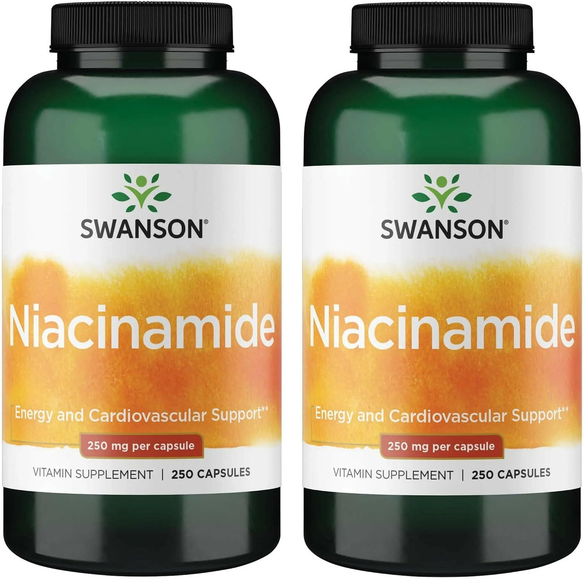 Swanson Niacinamide Vitamin B3 Supplement – 250 mg, 250 Capsules (2-Pack) - görsel 1