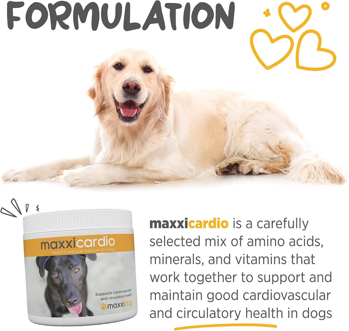 maxxicardio Heart Support for Dogs (Small Size) – Taurine + L-Carnitine + Hawthorn + Ginkgo – Helps Support Circulation, Energy & Stamina – Easy Mix Powder – Made in USA – 90g - görsel 5