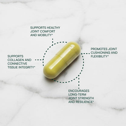 Purity Products HA Joint Formula with Hyaluronic Acid & Key Co-Factors - Joints & Skin Multi Collagen - 90 Capsules