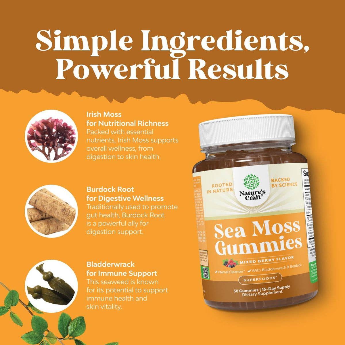 Sea Moss Gummies for Adults and Children - Vegan Immune Support Gummies with Burdock & Bladderwrack - Berry Flavour - 30 Count - görsel 6