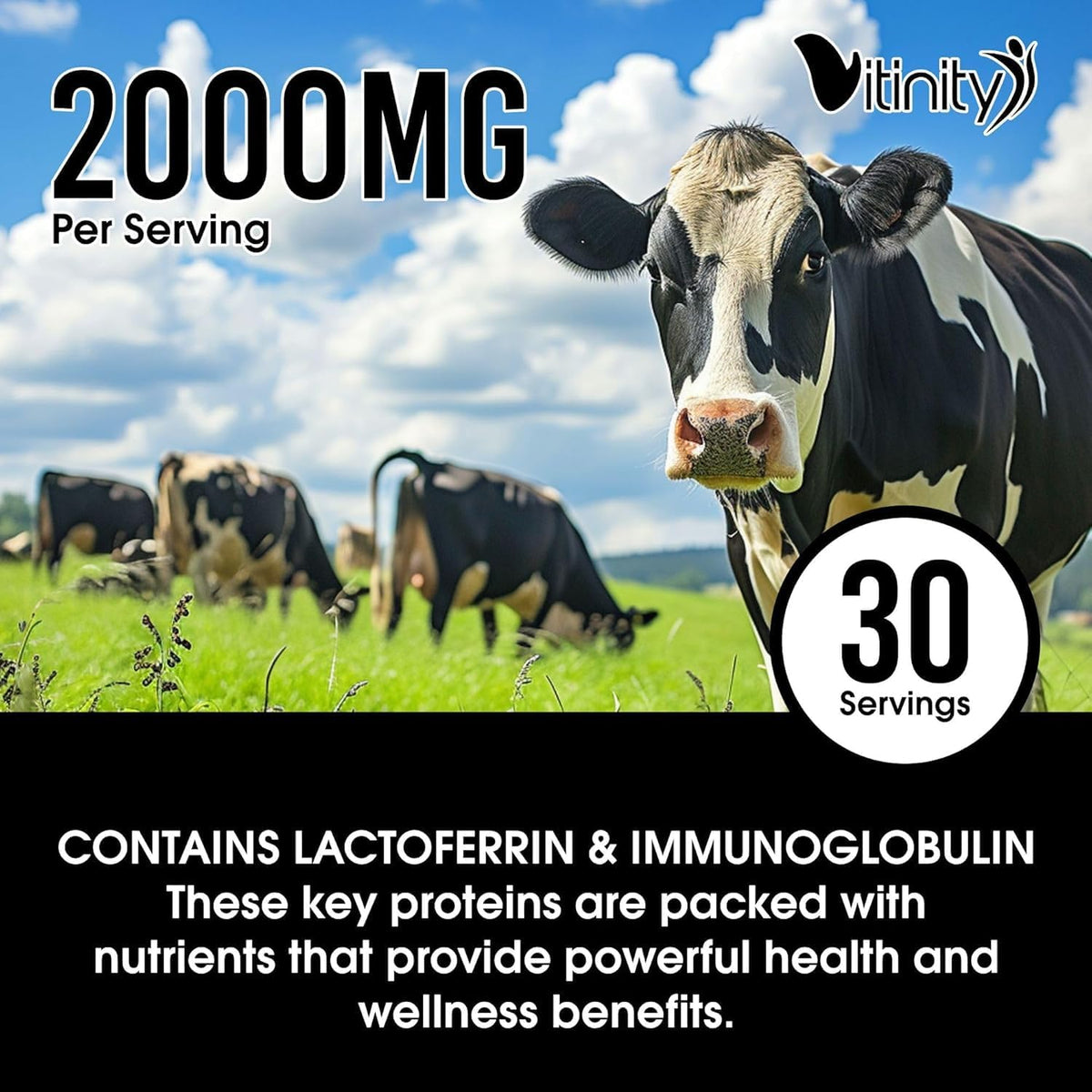 VITINITY Grass-fed Bovine Colostrum Capsules – Natural IgG Supplement for Digestive Health, Immune Support & Muscle Recovery (120 Capsules) - görsel 6
