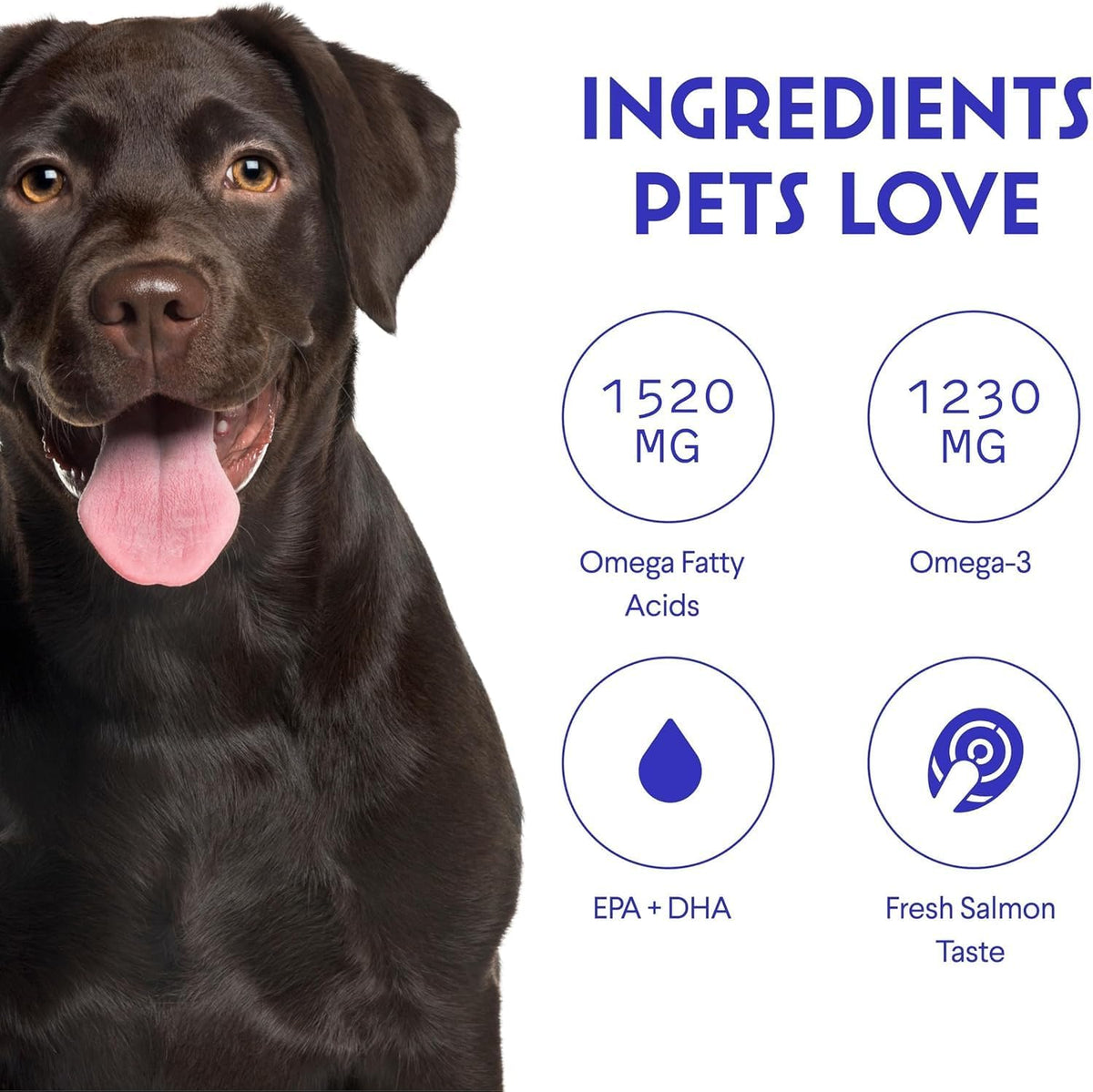 Wonder Paws Fish Oil for Dogs – Omega-3 from Alaskan Salmon, Cod & Krill Oil – EPA DHA Fatty Acids – Liquid Supplement (946 ml) - görsel 6