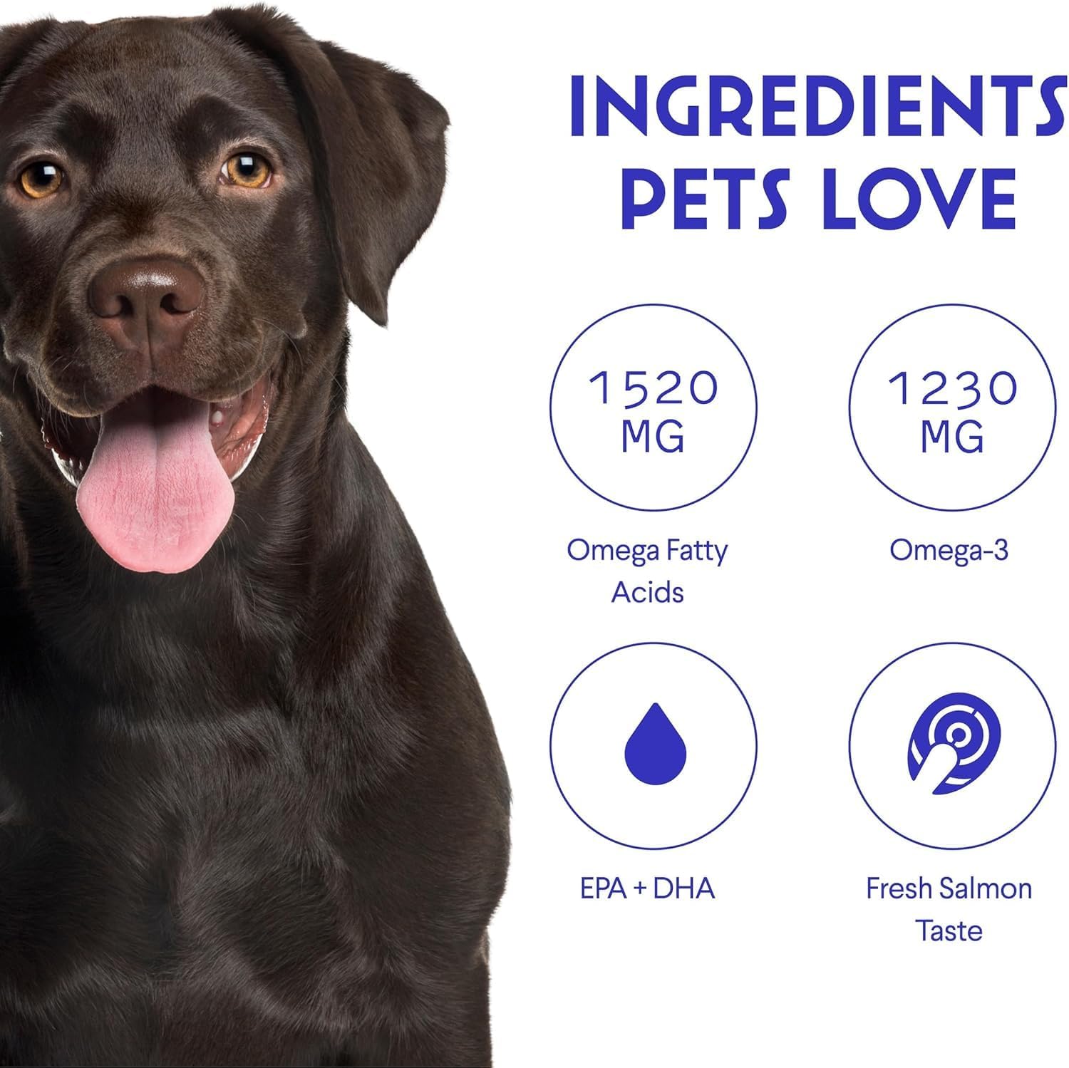 Wonder Paws Fish Oil for Dogs – Omega-3 from Alaskan Salmon, Cod & Krill Oil – EPA DHA Fatty Acids – Liquid Supplement (946 ml) - görsel 6