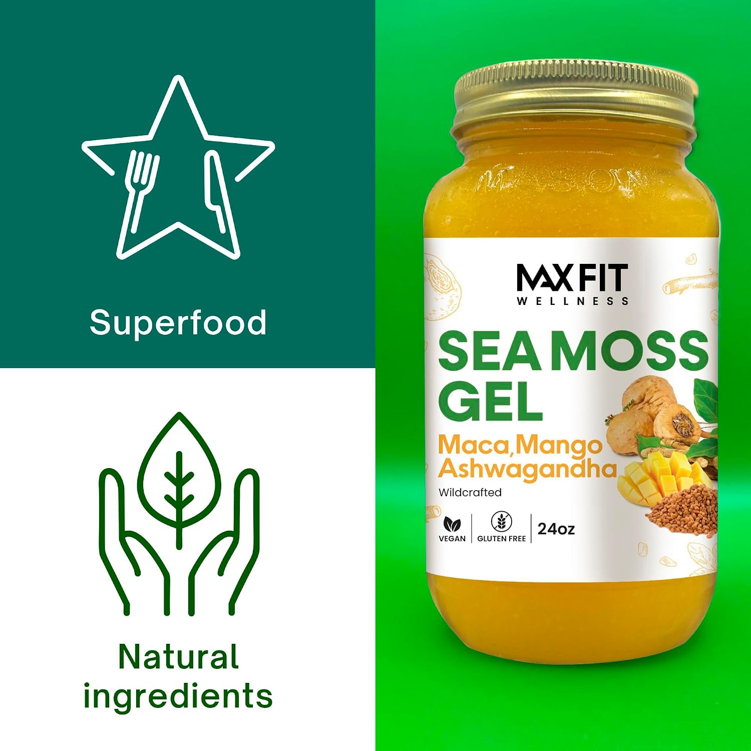 MAX FIT Sea Moss Gel with Maca and Ashwagandha | Wildcrafted Gold Sea Moss from Saint Lucia | 92 Vitamins and Minerals | Non-GMO, Raw, 680 g - görsel 3