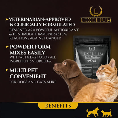Lexelium Life-Optim Terminal Illness Support Blend for Dogs and Cats | 100% Natural Supplement Powder | 200g Bag