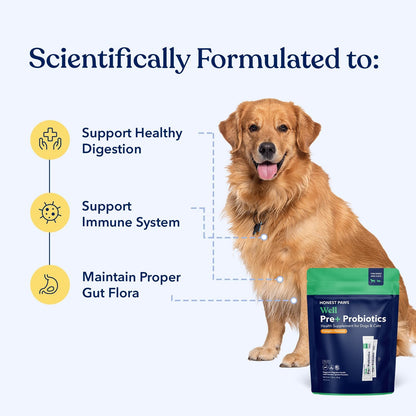 Honest Paws Probiotics for Dogs - Dog Digestion Gut Health Probiotic Powder with Prebiotic Made in the USA, Digestive and Immune Support - Digestive Enzymes with Pumpkin Flavour (30 Sticks)