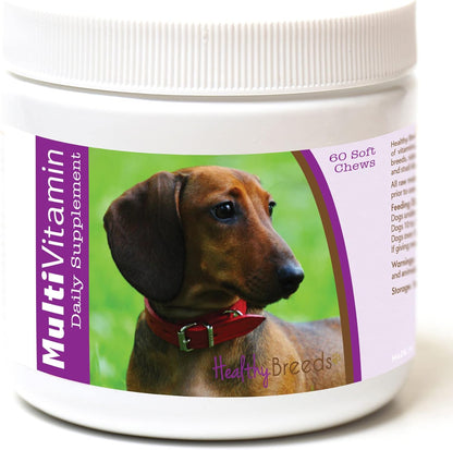 Healthy Breeds Dachshund Multivitamin Soft Chews 60 Count
