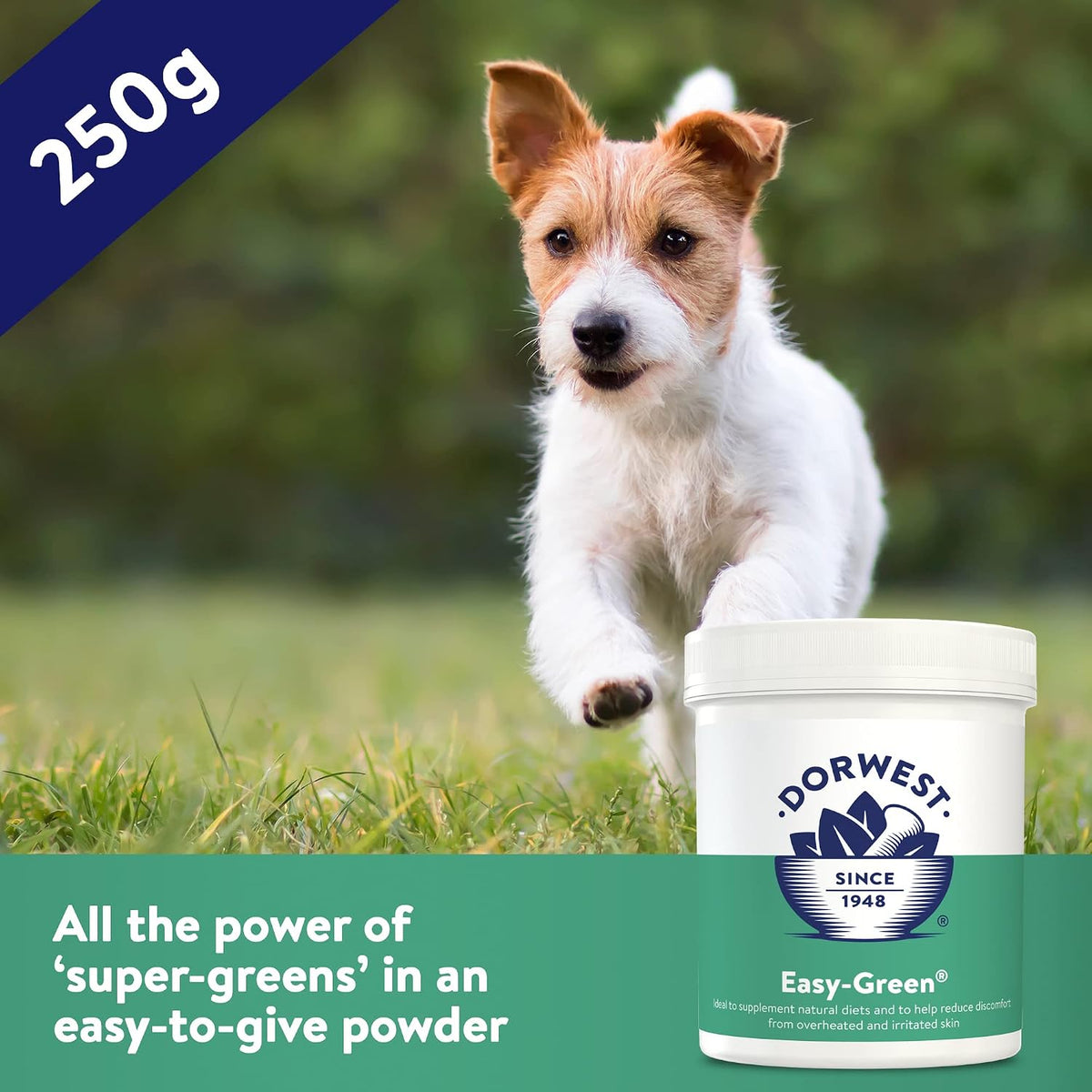 Easy Green Powder for Dogs and Cats (250g) - görsel 5