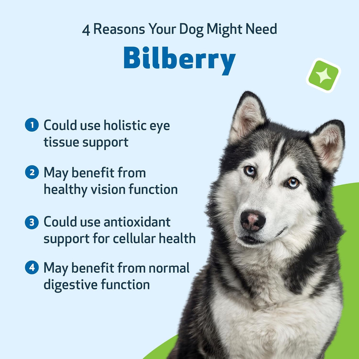 Pet Wellbeing Bilberry for Dogs - Eye & Vision Support - 60 ml Liquid - görsel 9