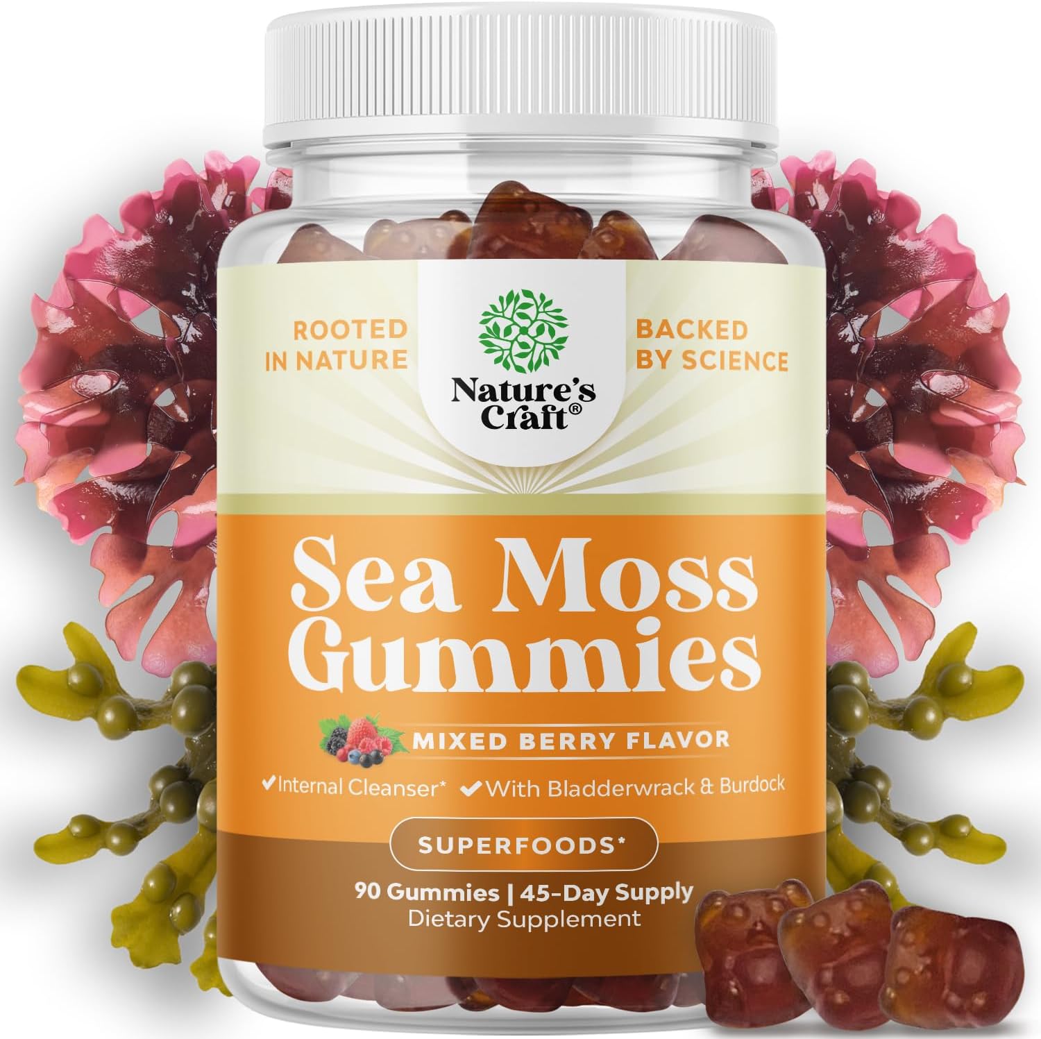 Natures Craft Irish Sea Moss Gummies for Women Men & Kids - Immune Support Supplement with Irish Sea Moss, Bladderwrack & Burdock Root - Detox Gummies for Body Cleanse - 90 Count - görsel 1