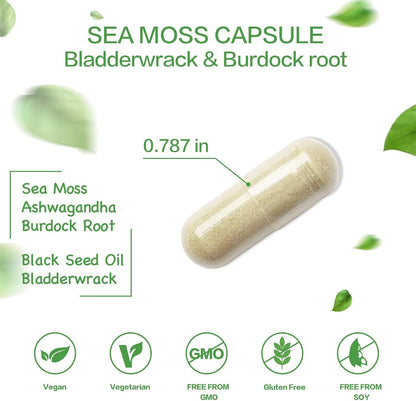 VPKIN Organic Sea Moss Capsules with Bladderwrack, Burdock Root and Black Pepper Extract – Irish Sea Moss Capsules 2000mg – Supports Immune System, Thyroid Health (120 Capsules)