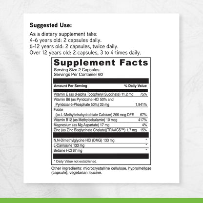 DAVINCI Labs Behaviour Balance-DMG - Food Supplement with Vitamin E, B6, Zinc, Magnesium - Gluten-Free - 120 Vegetarian Capsules