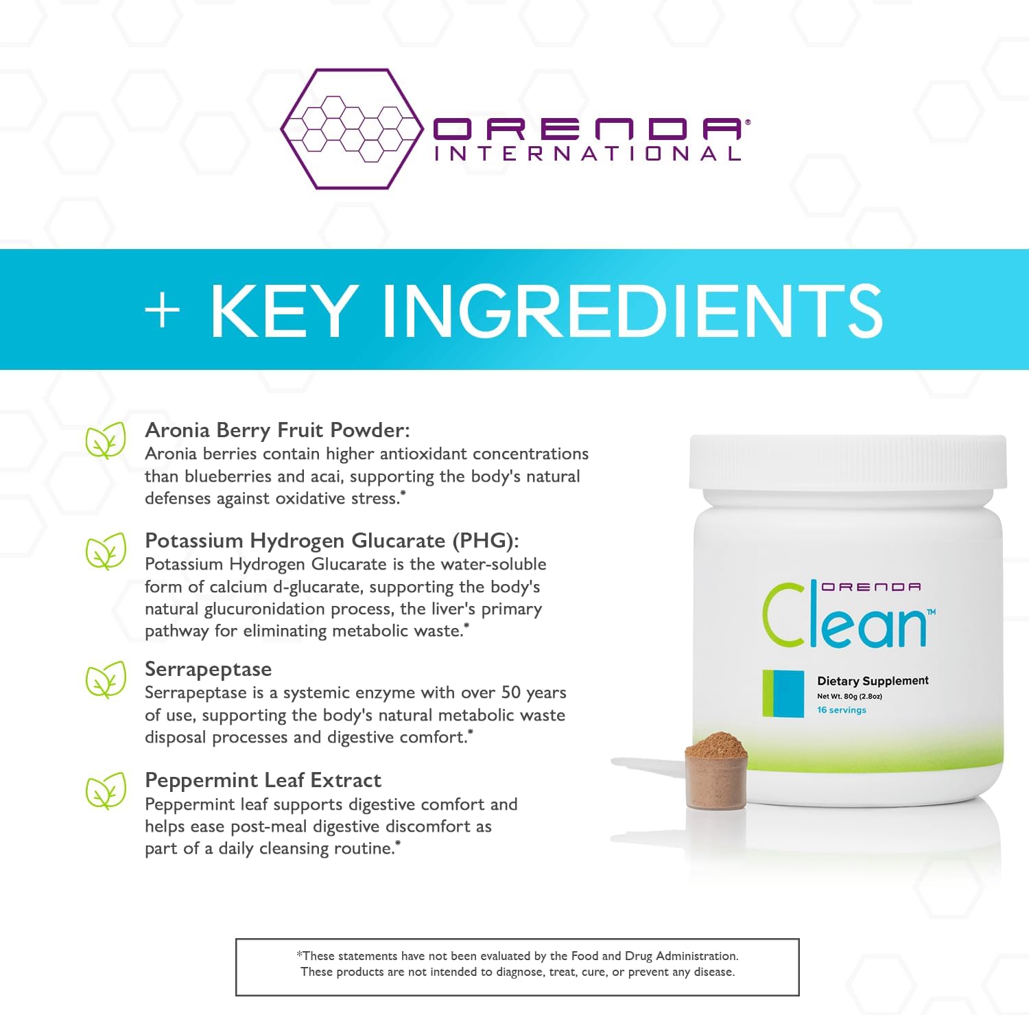 Orenda Clean 18-Botanical Food Supplement Powder with Serrapeptase & Milk Thistle, Aronia Berry, Turmeric & Ashwagandha - Liver Support, 80g - görsel 4