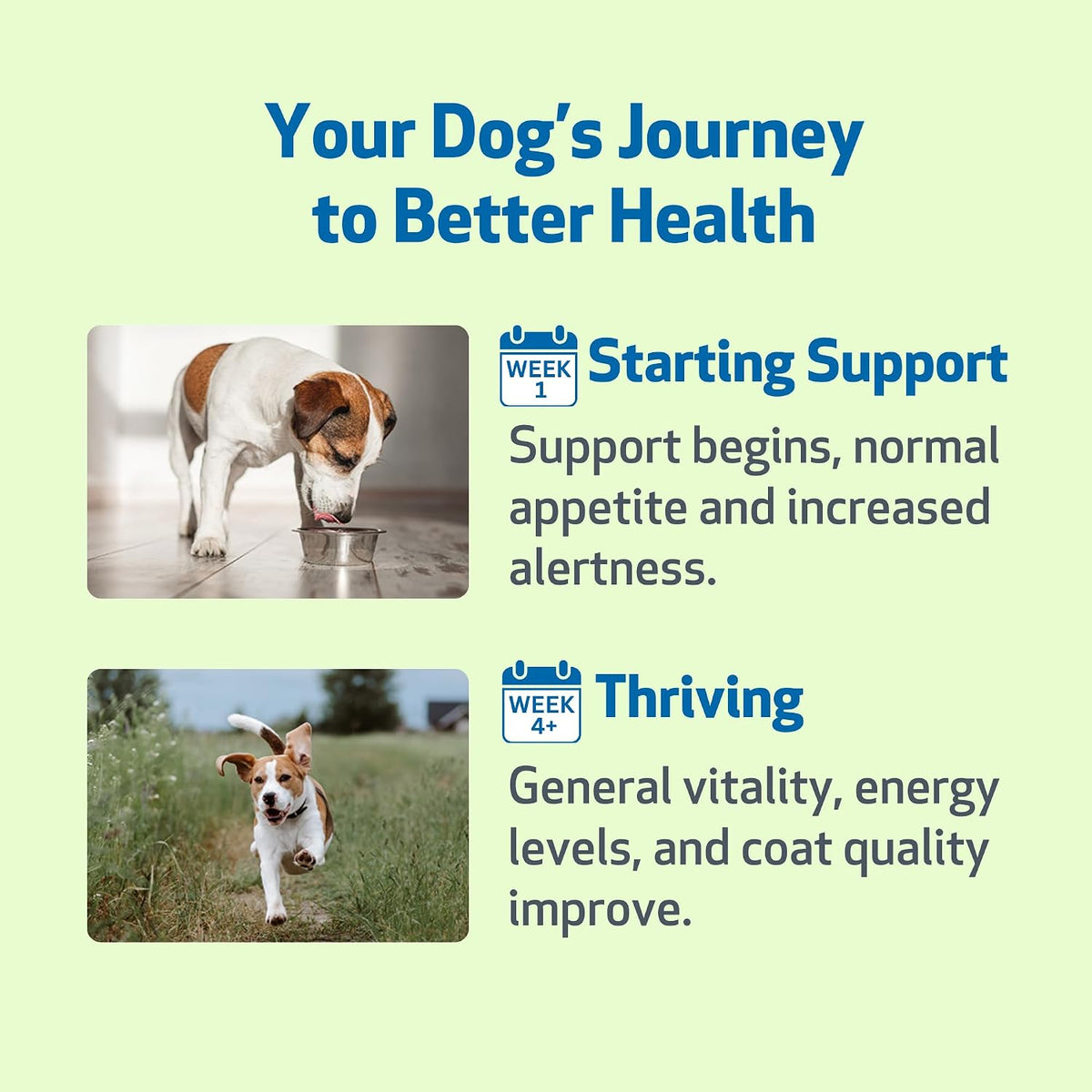 Pet Wellbeing Life Gold for Dogs - Vet-Formulated Herbal Immune Support Supplement (2 oz / 60 ml) - görsel 9
