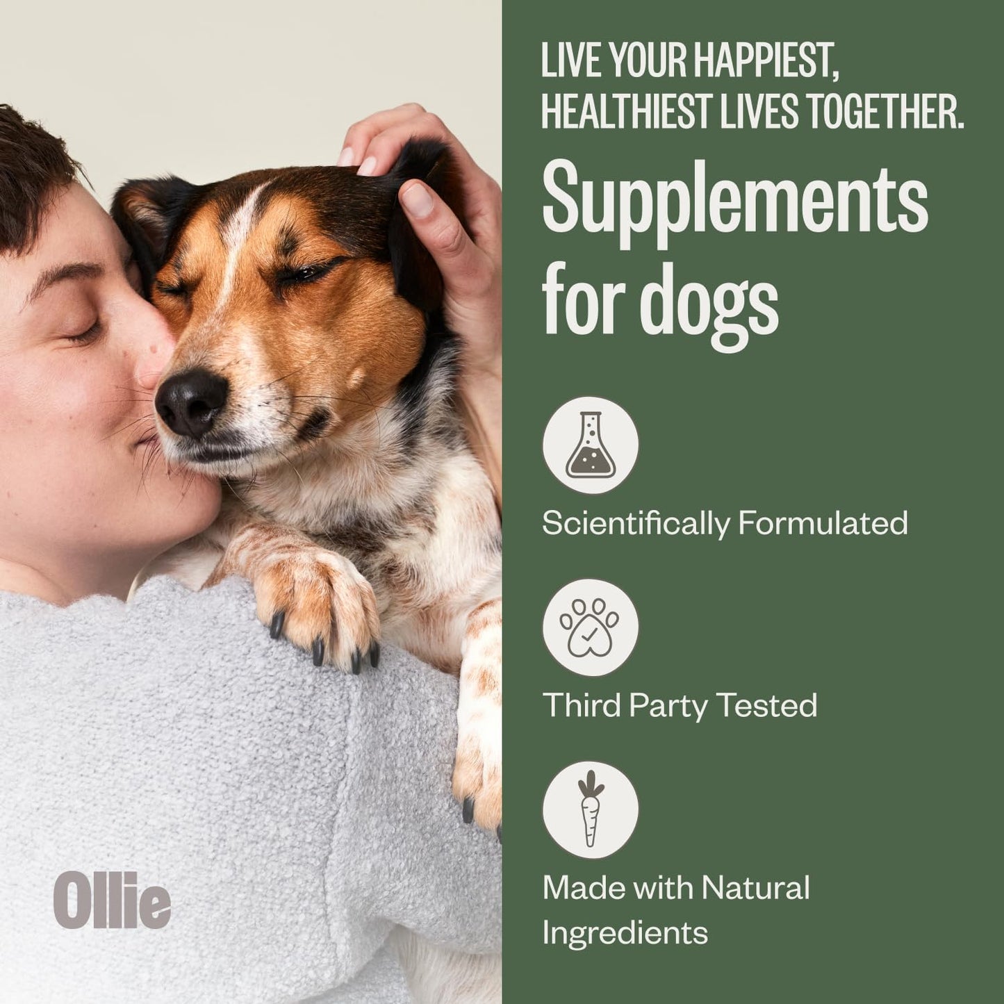 Ollie Belly Rubs Probiotic Dog Chews for Digestive Health, 60 Chews - görsel 2