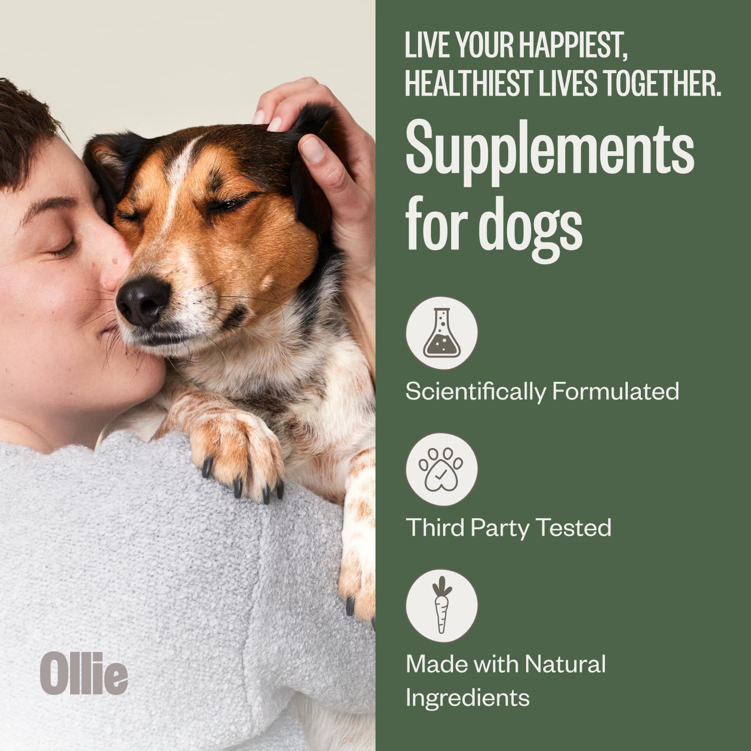 Ollie Belly Rubs Probiotic Dog Chews for Digestive Health, 60 Chews - görsel 2