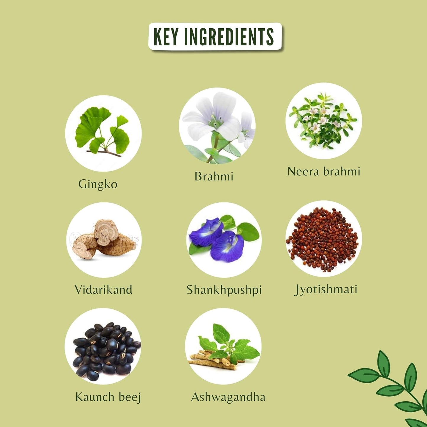 AYURVEDASHREE Medho Vatika 60 Caplets – Herbal Cognitive Support with 8 Ayurvedic Herbs - görsel 3