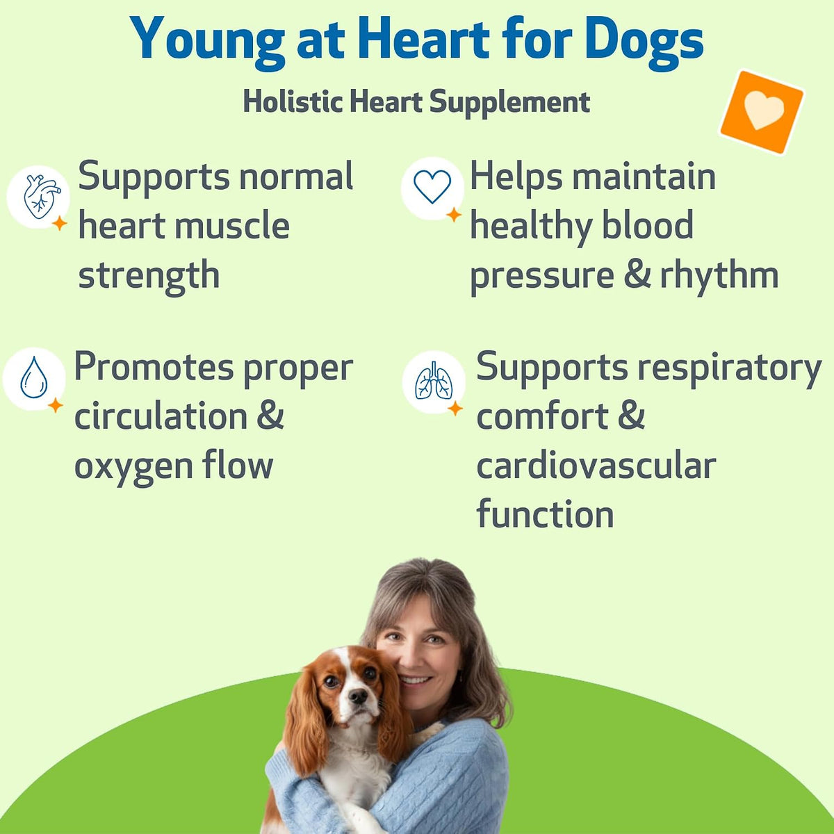Pet Wellbeing Young at Heart for Dogs - Senior Heart Health Support, Cardiovascular Wellness with Hawthorn & Motherwort - NASC Certified & Vet-Formulated - 2 oz Liquid Formula - görsel 2