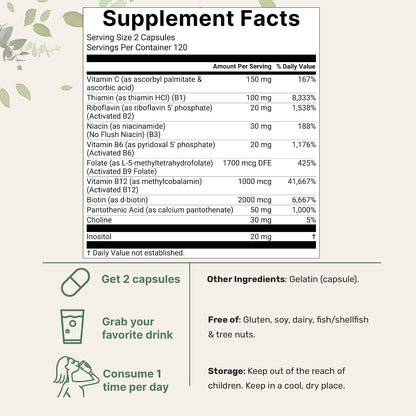 Micro Ingredients Pure Methylated B Complex, 240 Capsules